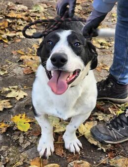 JOHN ist ein fröhlicher kleiner Bub ♥️ - München