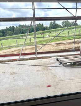Energieeffiziente 3-Zimmer-Neubauwohnung! - Tiefenbach (Landkreis Passau)