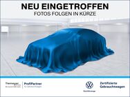 VW T6 California, 1 OCEAN EDITION DIFFSPERRE, Jahr 2022 - Recklinghausen