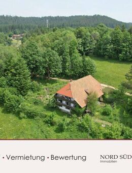 Schwarzwaldhof. Ideal als Retreat, Pferdehof, Ferienwohnungen, Seminarhaus oder Gnadenhof. - Hornberg