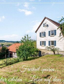 Sanierungsbedürftiges Weinbauernidyl mit Scheune sucht Dorfliebhaber - Öhringen