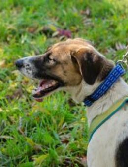 NADA - Familienleben für mich entdecken - Overath