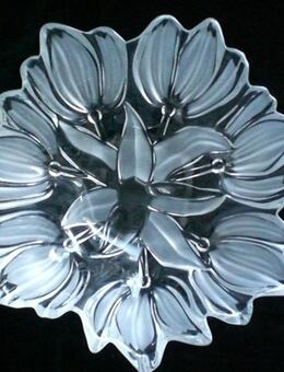 Walther Glas Sylvia Schale 30 cm Obstschale satiniert Deko 5,- - Flensburg