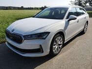 Skoda Superb, 2.0 TDI Kombi Selection, Jahr 2024 - Achern