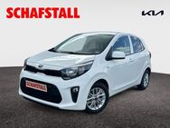 Kia Picanto Dream Team 1.0 wenig KM Navi Kamera Sitzheizung Carplay - Bergheim (Nordrhein-Westfalen)