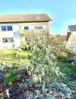 Drei in Einem! - Regensburg