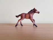 Schleich Mustang Fohlen rennend braun Pferd Figur - Hermeskeil