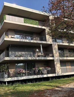 Idyllisch gelegene 4 Zimmerwohnung am Schloss von Wolfsburg - Wolfsburg