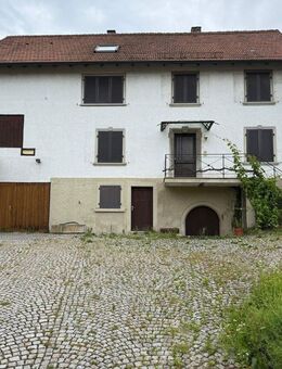 Altes Winzerhaus mit landwirtschaftlichen Nebengebäuden in Bühlertal - Bühlertal