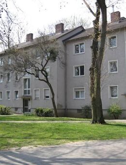 3 Zimmer Wohnung zu Vermieten - Wiesbaden