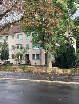 Ein tolles Wohngefühl: 3-Zimmer-Wohnung in zentraler Lage - Kassel