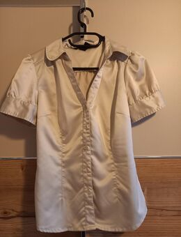 champagner Bluse - Teising