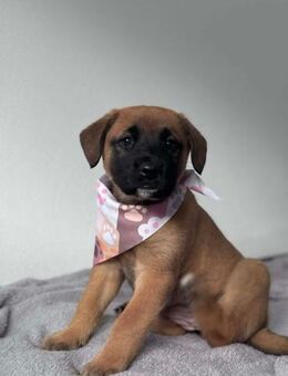 Süße Ella - Eichenzell