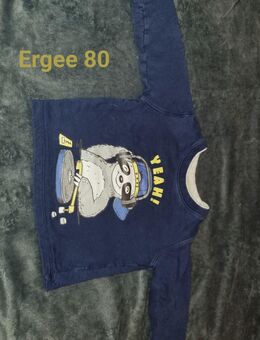 Waschbär Pulli zu verkaufen - Hamm