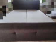 Boxspringbett 180x200cm - Bad Karlshafen