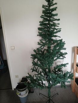 In fünf Monaten ist Weihnachten - Bad Fallingbostel Zentrum
