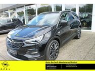 Opel Grandland, 1.6 Turbo EU6d Ultimate, Jahr 2021 - Niederahr