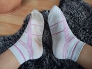 Getragene Socken von Füße Größe 40 warten auf dich - Köln