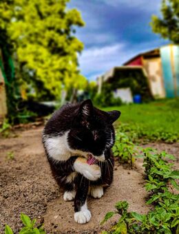 Foto Bearbeitung - Pritzwalk