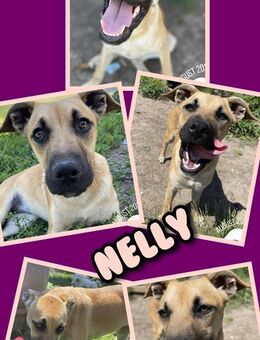 Hübsche Nelly wartet aufs Glück! - Nürnberg