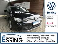 VW Golf, 2.0 TDI Life, Jahr 2023 - Lastrup