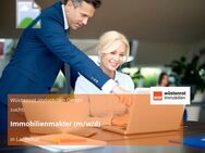 Immobilienmakler (m/w/d) - Landshut