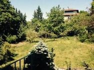 1 Zi-Wohnung Frauenland - mit großem Gartengrundstück ! - Würzburg