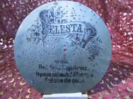 Celesta Polyphon - Platte, antike Lochplatte / Heil dir im Siegerkranz Nr.1033 - Zeuthen