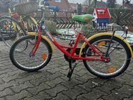 Kinderfahrrad 3 Gang - Papenburg