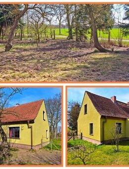 Renovieren. Gestalten. Einziehen. Ihr Haus mit Potenzial! - Ummanz
