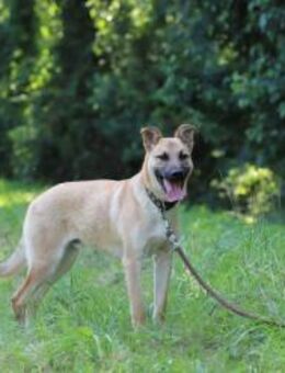 HENRY -hey Leute ich will mit dabei sein - Overath