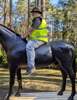 TORNADO, 3D PFERD LEBENSGROSS … - Heidesee