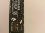 Festplatte WD Black Series SN 850 500 GB NVME - Jandelsbrunn