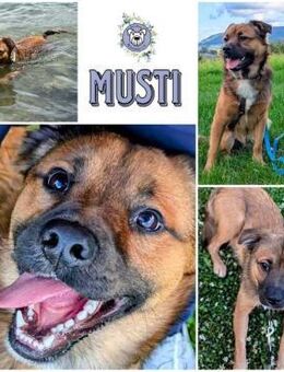 MUSTI * fröhlicher Überallhinbegleiter - Duisburg