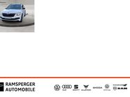 Skoda Kamiq, 1.5 TSI Monte Carlo APP, Jahr 2021 - Kirchheim (Teck)