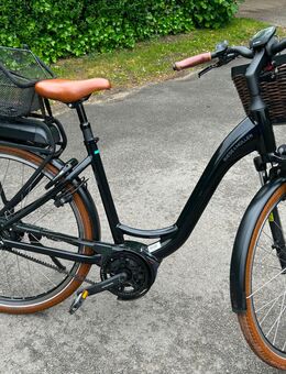 E-Bike Riese & Müller Swing 3 vario - Top Zustand - Hamburg