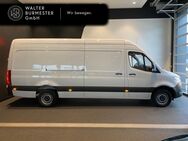 Mercedes Sprinter, 317 KlimaA, Jahr 2022 - Wedel