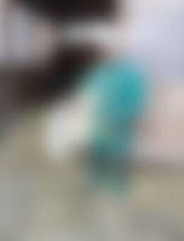 Mep*** - Südliches Anhalt Piethen