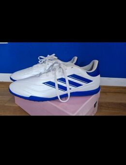 Adidas Schuhe Adidas Copa Pure - München Neuhausen-Nymphenburg
