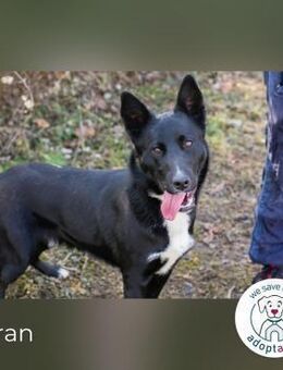 Miran: Für jeden Spaß zu haben - Kirchzell