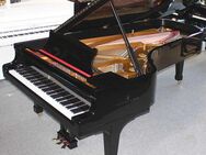 Flügel Klavier Steinway & Sons D-274, schwarz pol., restauriert - Egestorf