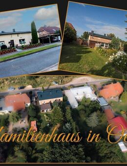 Haus mit viel Platz für eine große Familie und herrlichem Garten sucht neuen Wirkungskreis - Zepelin