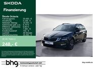 Skoda Octavia, 2.0 TDI Combi Ambition Octavia Combi Sol, Jahr 2020 - Freudenstadt