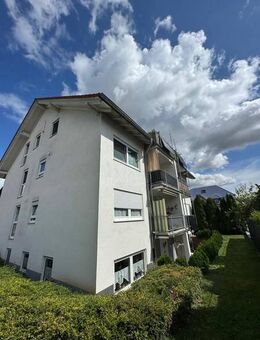 Traumwohnung für das tägl. sanfte Erwachen...Über den Baumwipfeln muß der Ausblick wohl traumhaft sein - Gau-Bickelheim