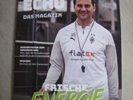 Magazin: \"FohlenEcho\" / Ausgabe 86 / August 2023 - NEU, ungelesen - Neuss