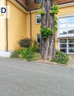 Gemütliche 1-Zimmer-Wohnung im 2. OG - ideal für Singles oder Kapitalanleger - Bad Blankenburg