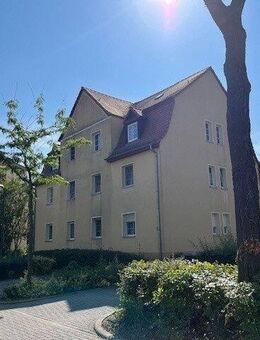 3 Räume - ruhige Wohngegend - Bitterfeld-Wolfen