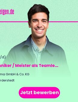 Techniker / Meister als Teamleiter Modernisierung Aufzugsanlagen (m/w/d) - Norderstedt