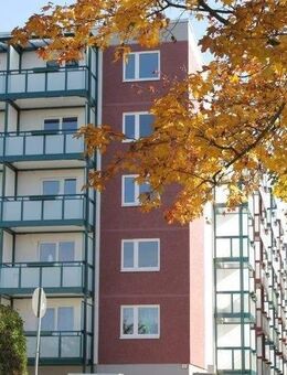 Balkon / Offene Küche / Ruhige Lage - Chemnitz