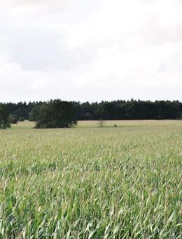 Exklusives Haus mit Sauna und Einliegerwohnung in ruhiger Lage ZWISCHEN DEN MEEREN! - Kropp